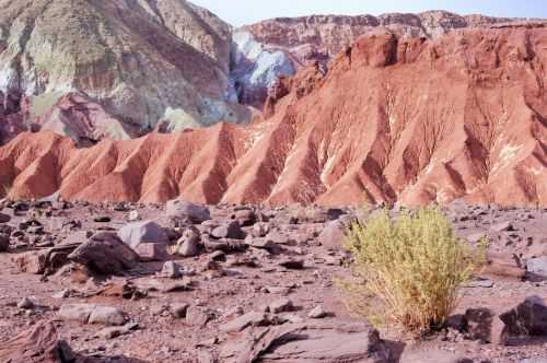 TREKKING NEL DESERTO DI ATACAMA 2015